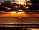Seagulls catching the last warm rays of the day.